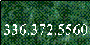 Text Box:  336.372.5560